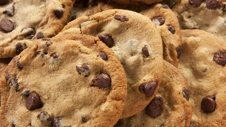 plate full of chocolate chip cookies