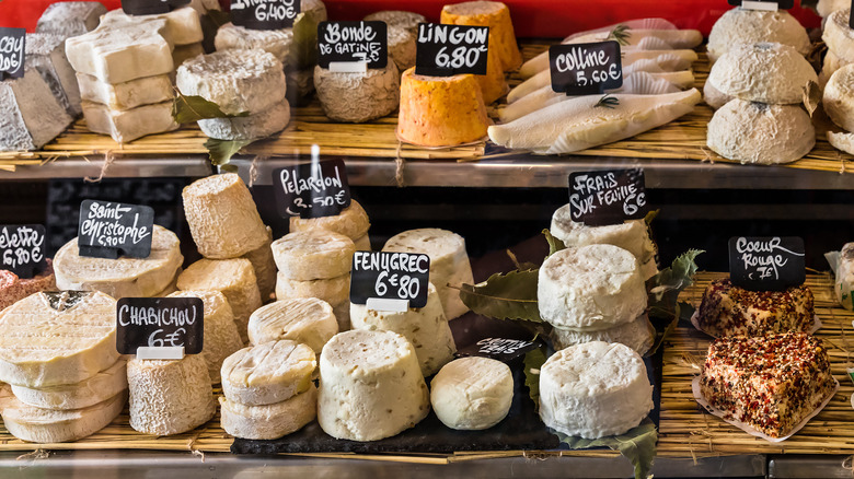 Selection of cheeses at a cheese shop