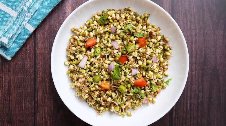 A plate of sprout salad