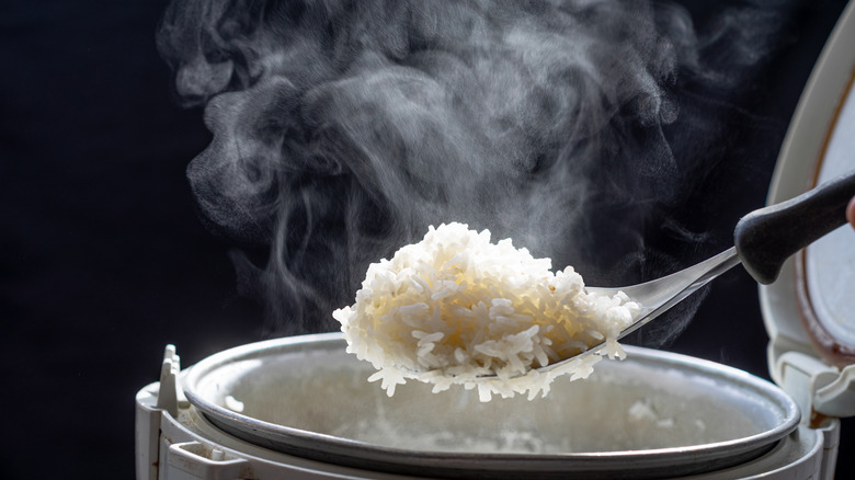 Cooked rice spooned out of a rice cooker