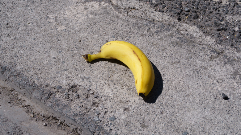 A banana on the road.