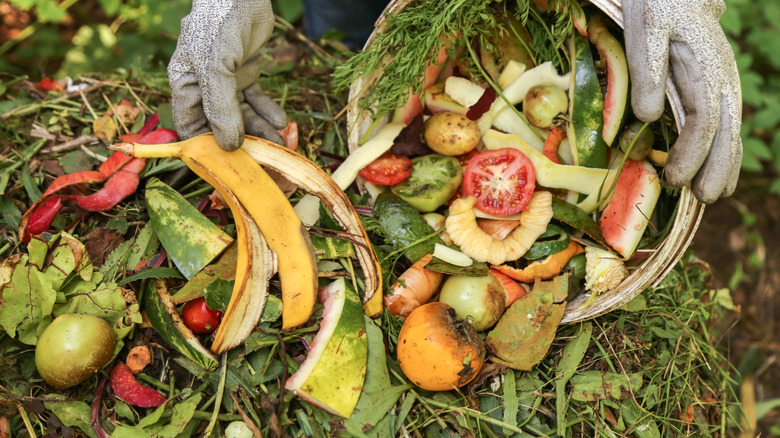 A compost pile filled with fruit scraps.