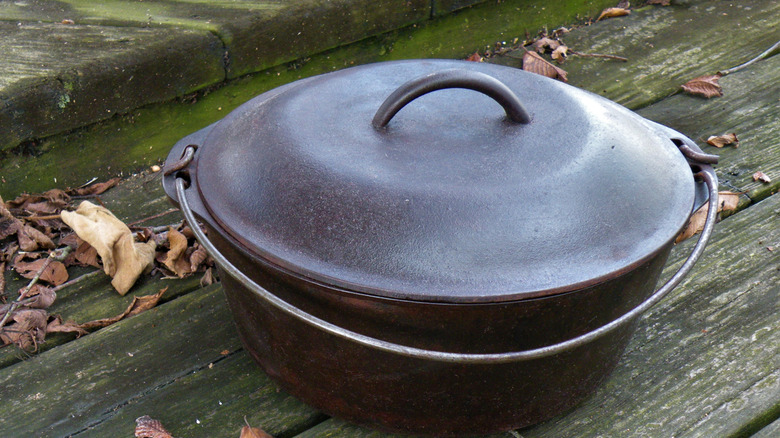 Lidded cast iron Dutch oven on mold-stained wood surface with dried leaves.
