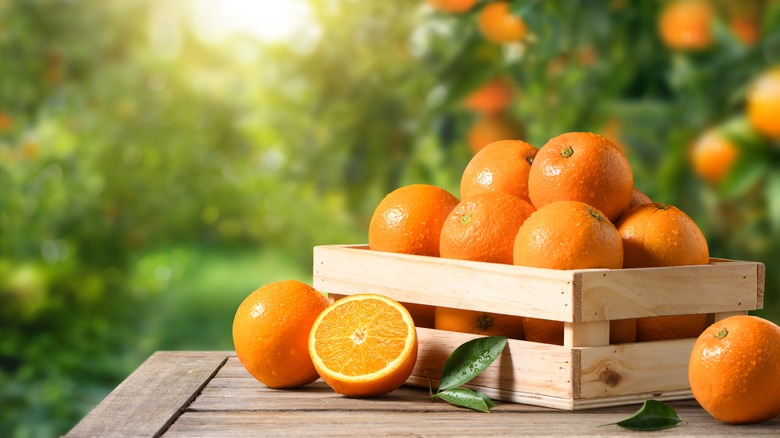 Crate of oranges in sunny grove