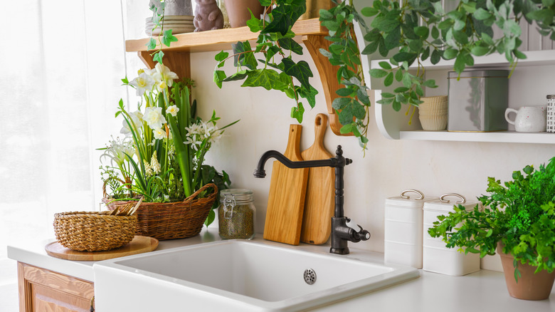 Plants surrounding a predominantly white kitchen's sink