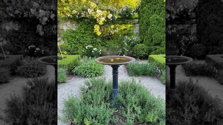 Ina Garten's herb garden