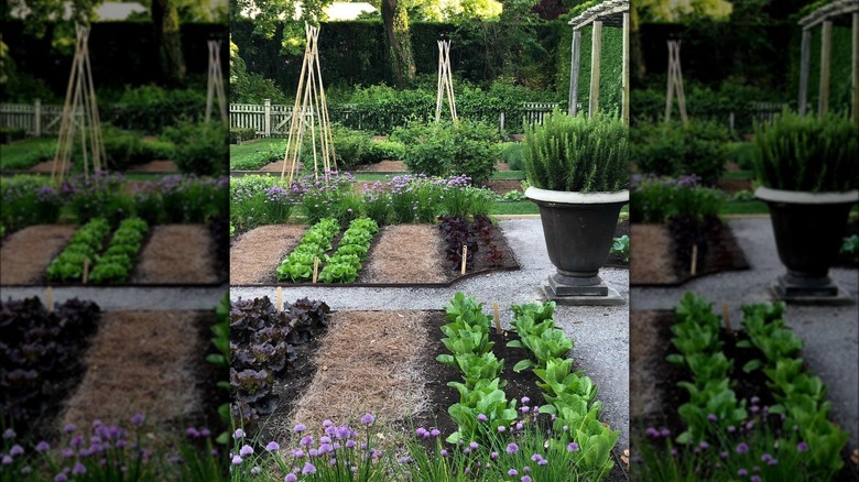 Ina Garten's vegetable garden