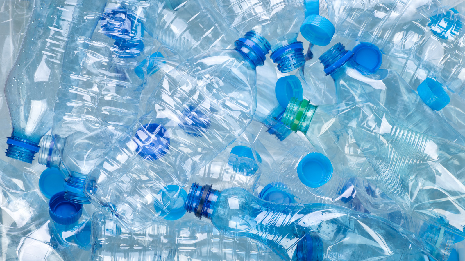 You Should Probably Stop Refilling Plastic Water Bottles