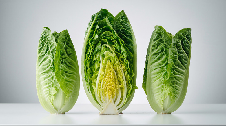 Three romaine lettuce heads standing on end with one cut in half
