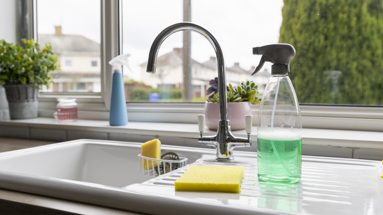 Cleaning supplies on kitchen countertop
