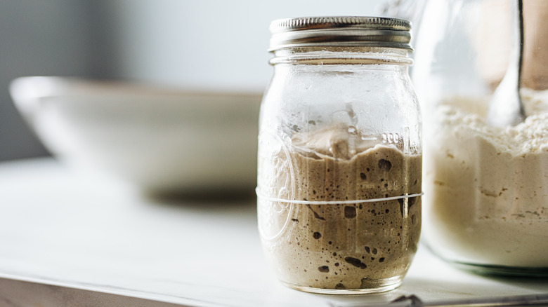 Mason jar of sourdough starter