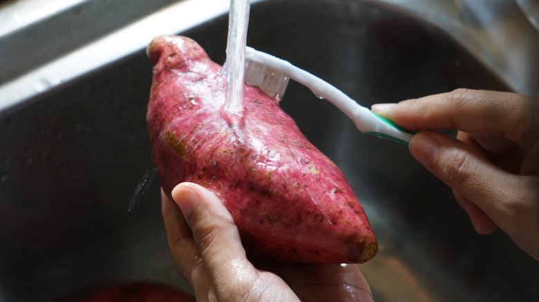 Washing sweet potato with brush