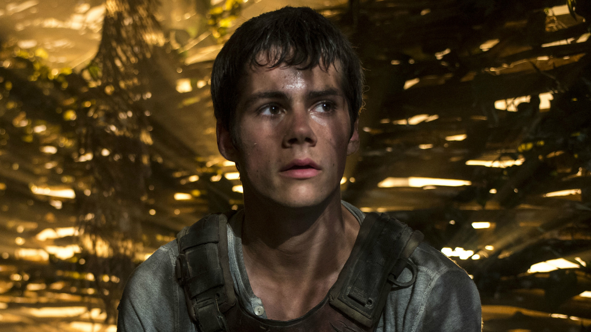 Dylan Obrien