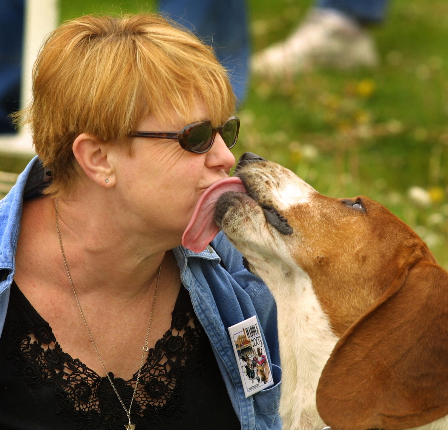 Great American Basset Waddle