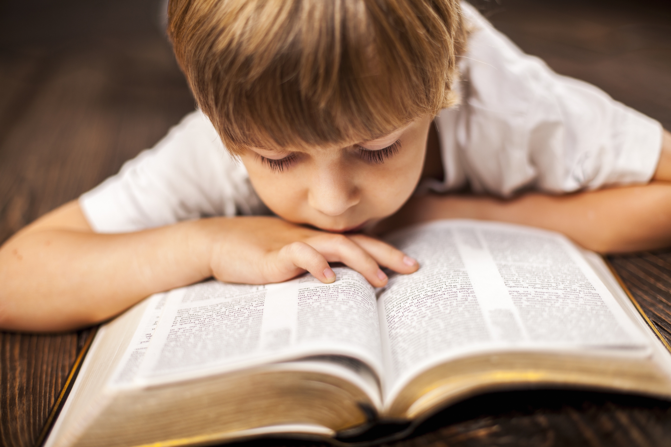 false-facts-bible-always-thought-true