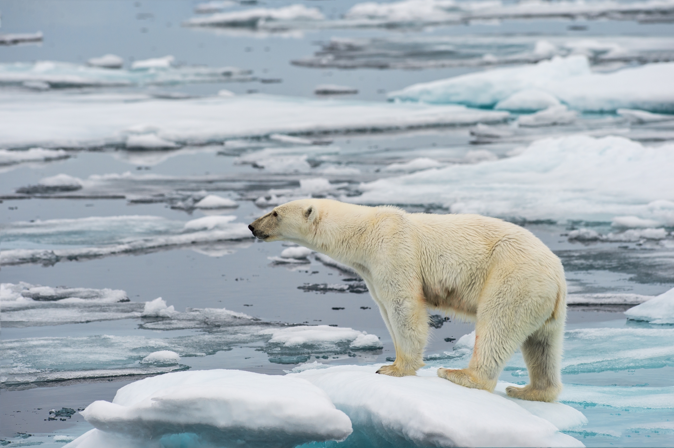false-things-believe-climate-change