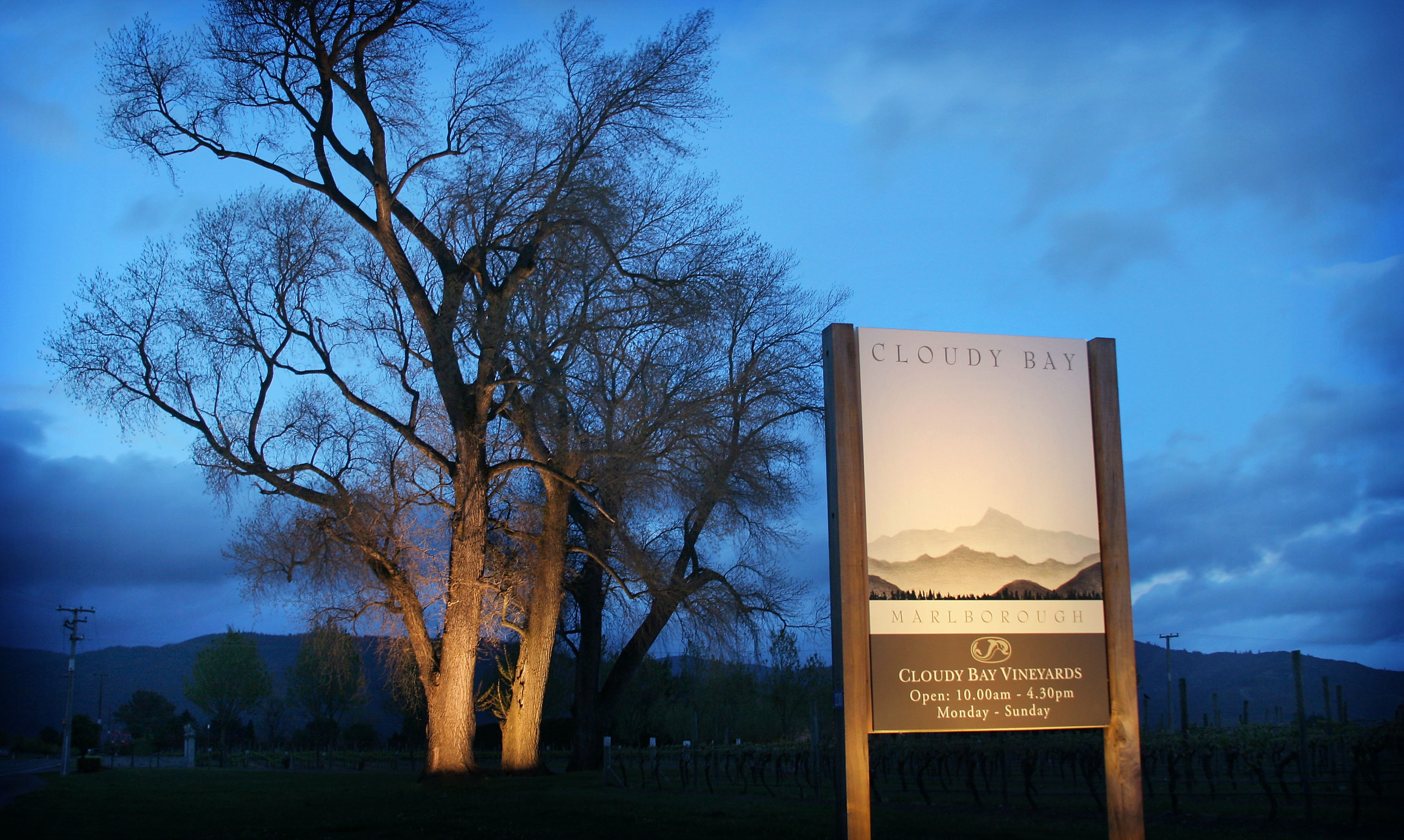 25 Years Of Cloudy Bay Wines Food Republic