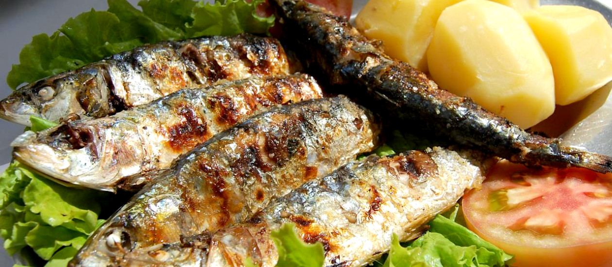 sardines Archives Food Republic