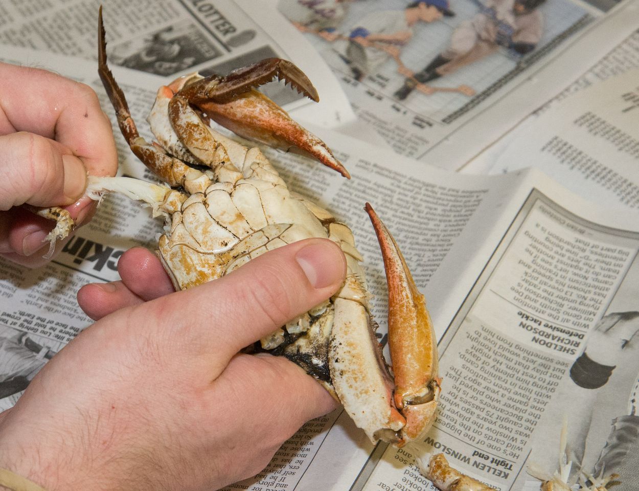 Pull off the legs and claws
