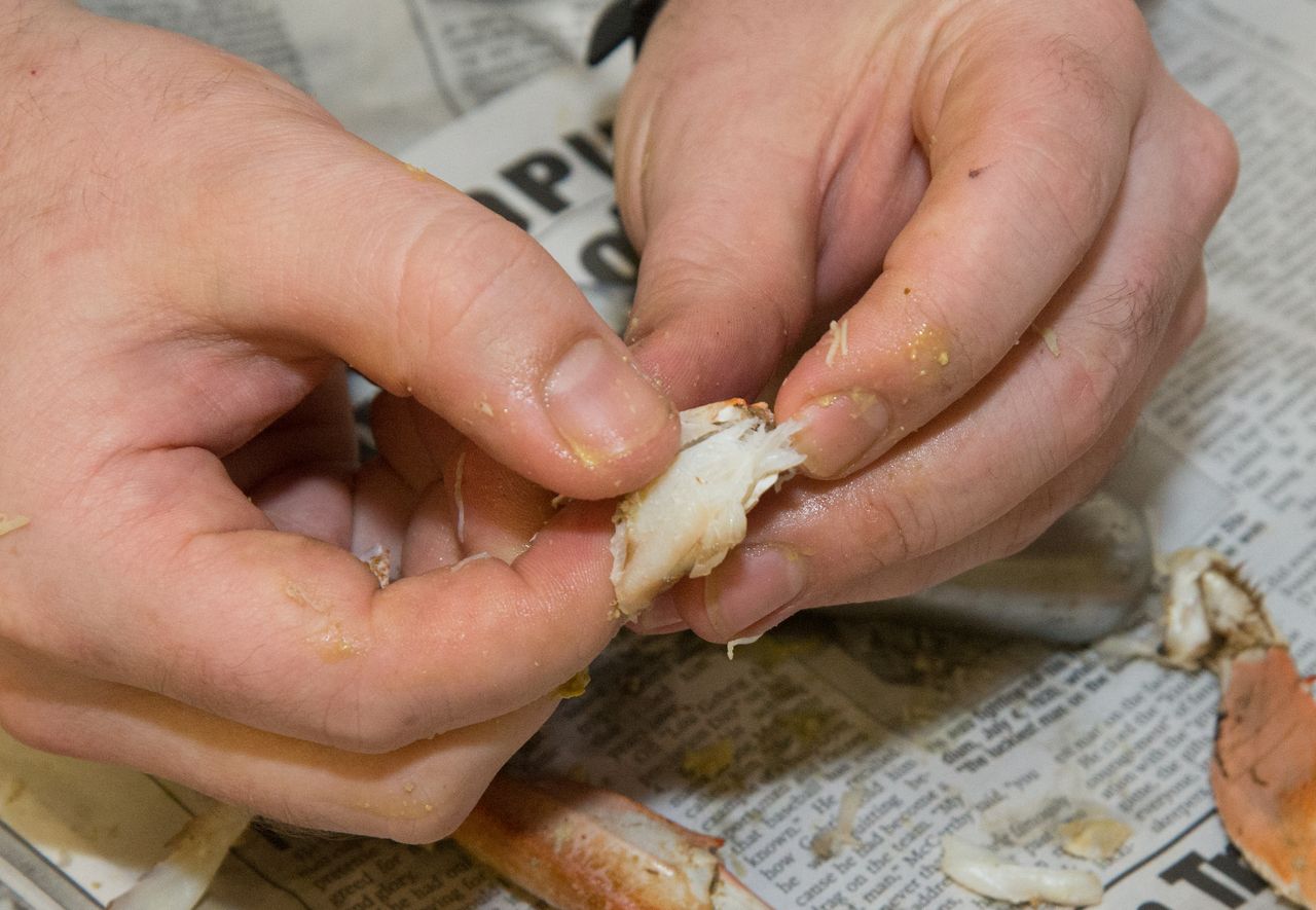 Extract the claw meat