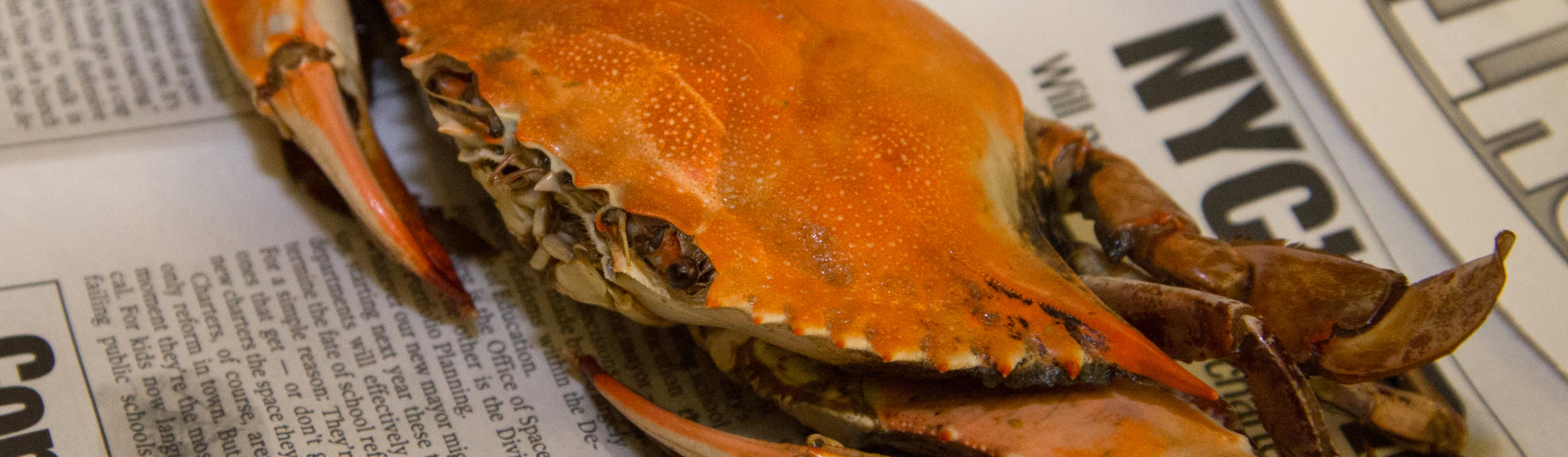 Article featured image