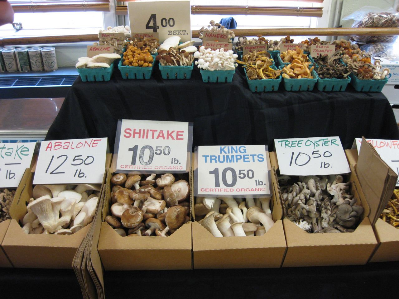 Let's Have Some Fungus! Hanging With Mushroom Fanatics In Santa Cruz Food Republic