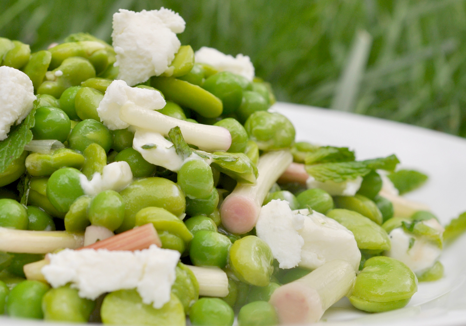 Fava Bean Salad With Pickled Ramps And Goat Cheese Recipe Food Republic