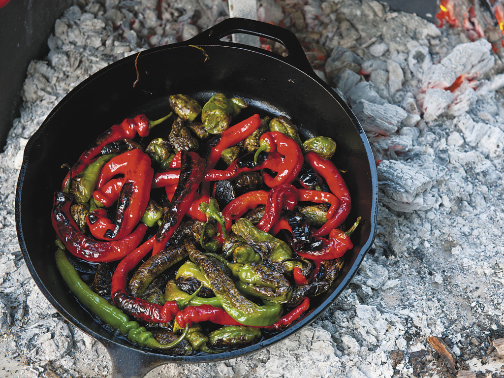 Charred Padrón Peppers With Lemon And Sea Salt Recipe - Food Republic