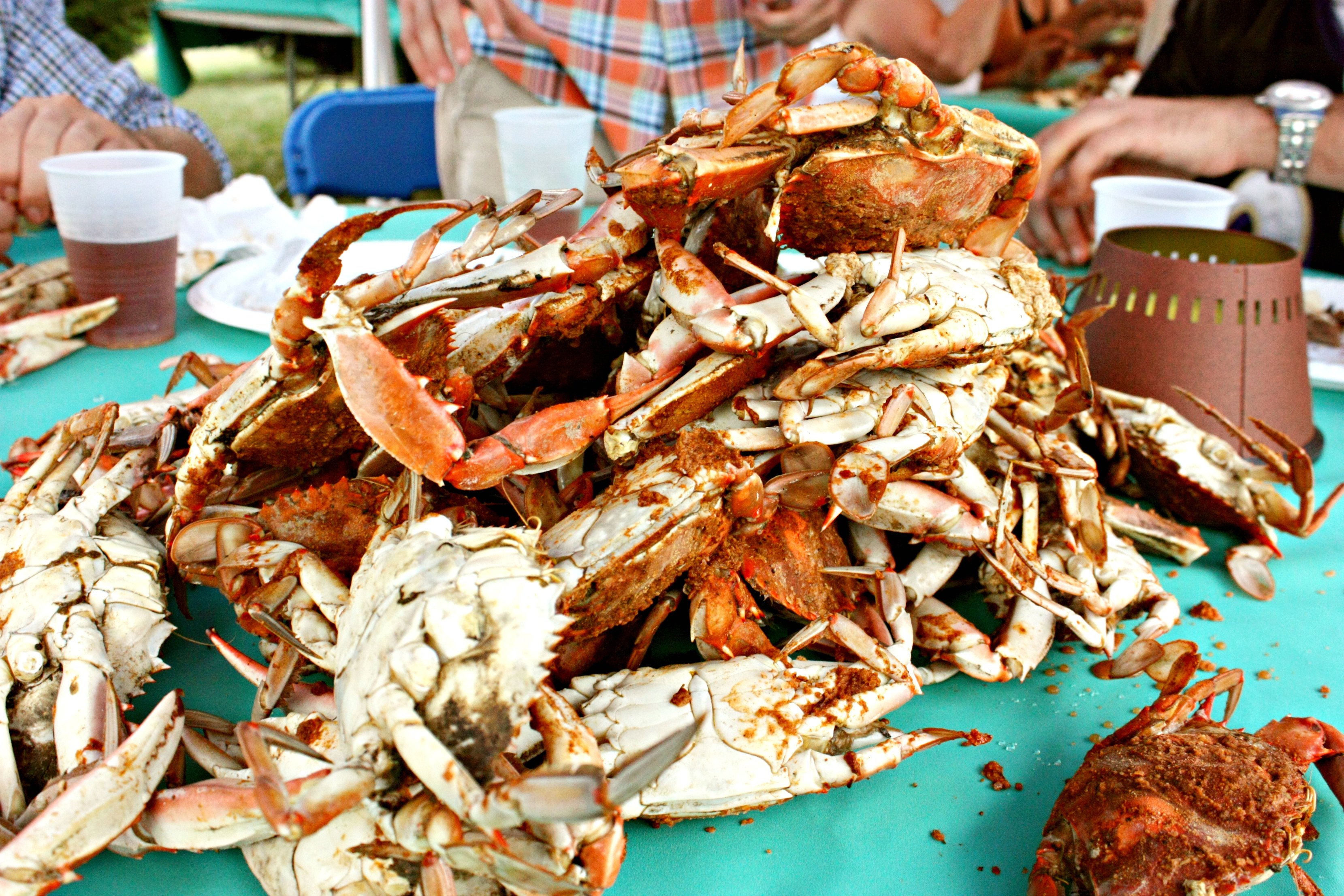 How To Cook A Proper Blue Crab Feast - Food Republic