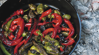 Article featured image