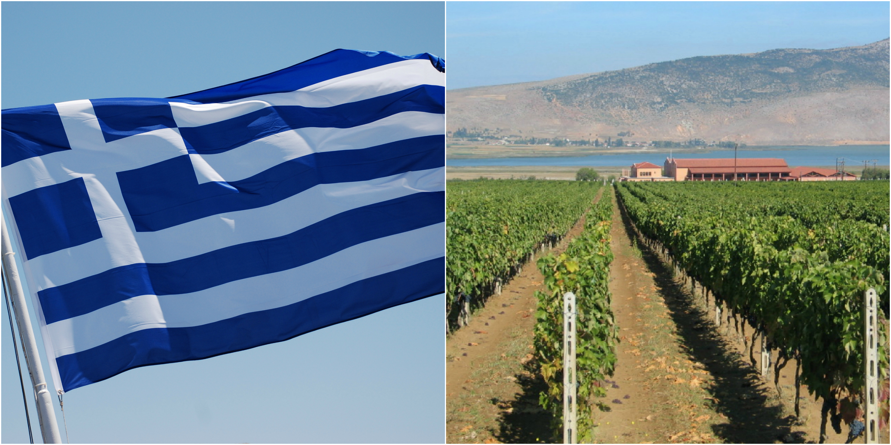 Greek Wine 101 A Guide To Varieties, Pairings And Exciting Regions Food Republic