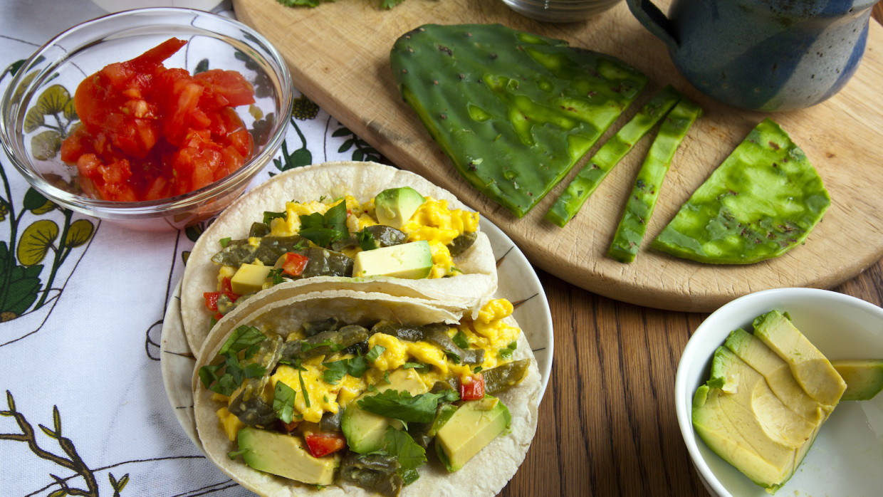 cactus Archives Food Republic