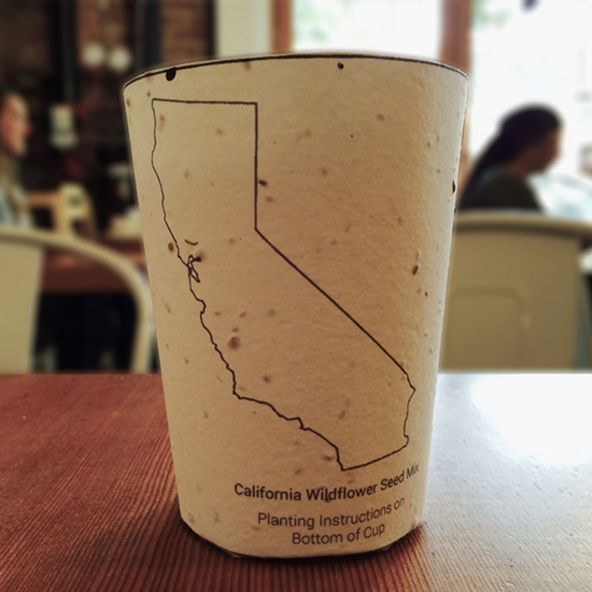 beyond-biodegradable-plantable-coffee-cups-might-be-the-future-food