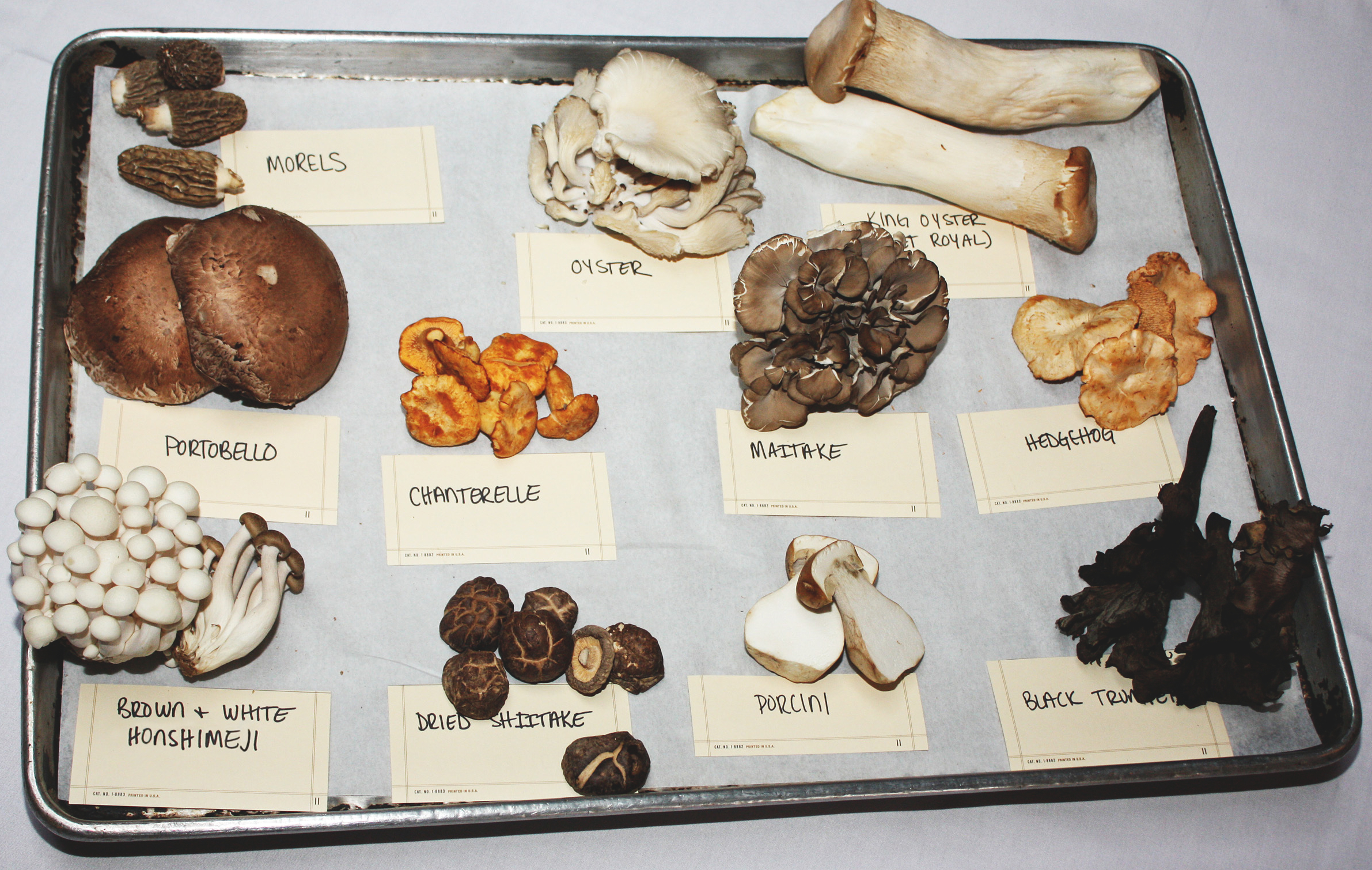 Mushroom types of