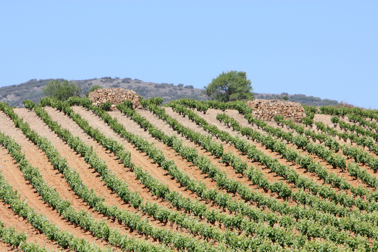 Three Top Wineries To Visit In Northern Spain Food Republic