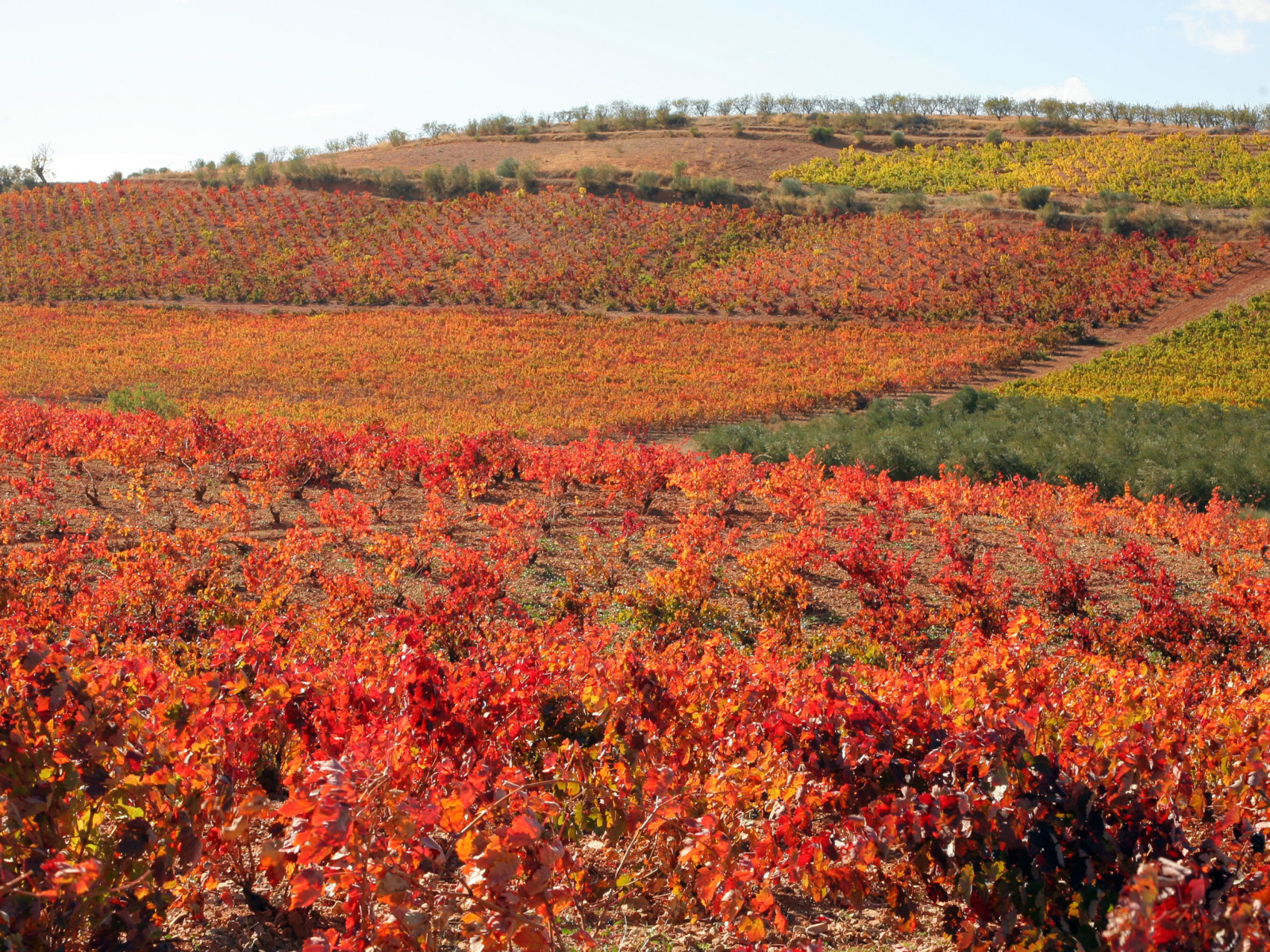 Three Top Wineries To Visit In Northern Spain Food Republic