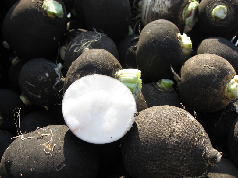 Black radish by Shihmei Barger via flickr Food Republic