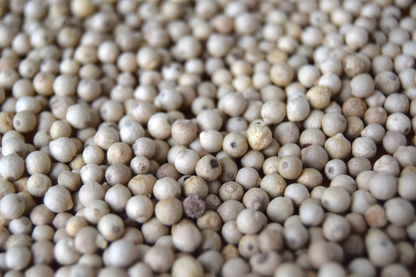 What Are The Different Kinds Of Peppercorns? Food Republic
