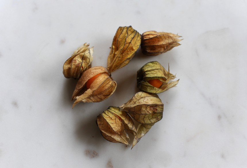 What Are Golden Berries? The New TacoFriendly Superfood! Food Republic