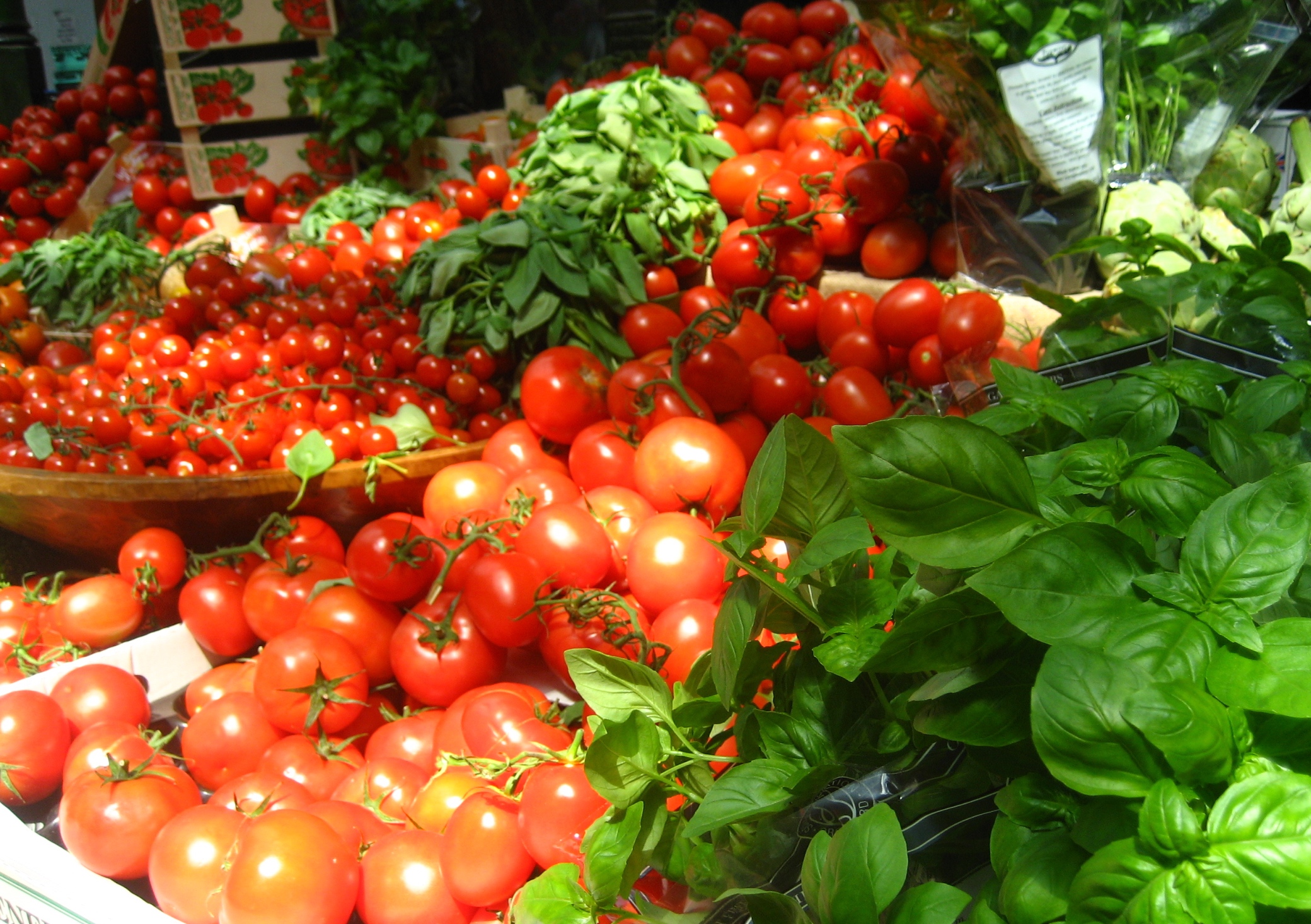 Plant Tomatoes and Basil Together To Repel Bugs Food