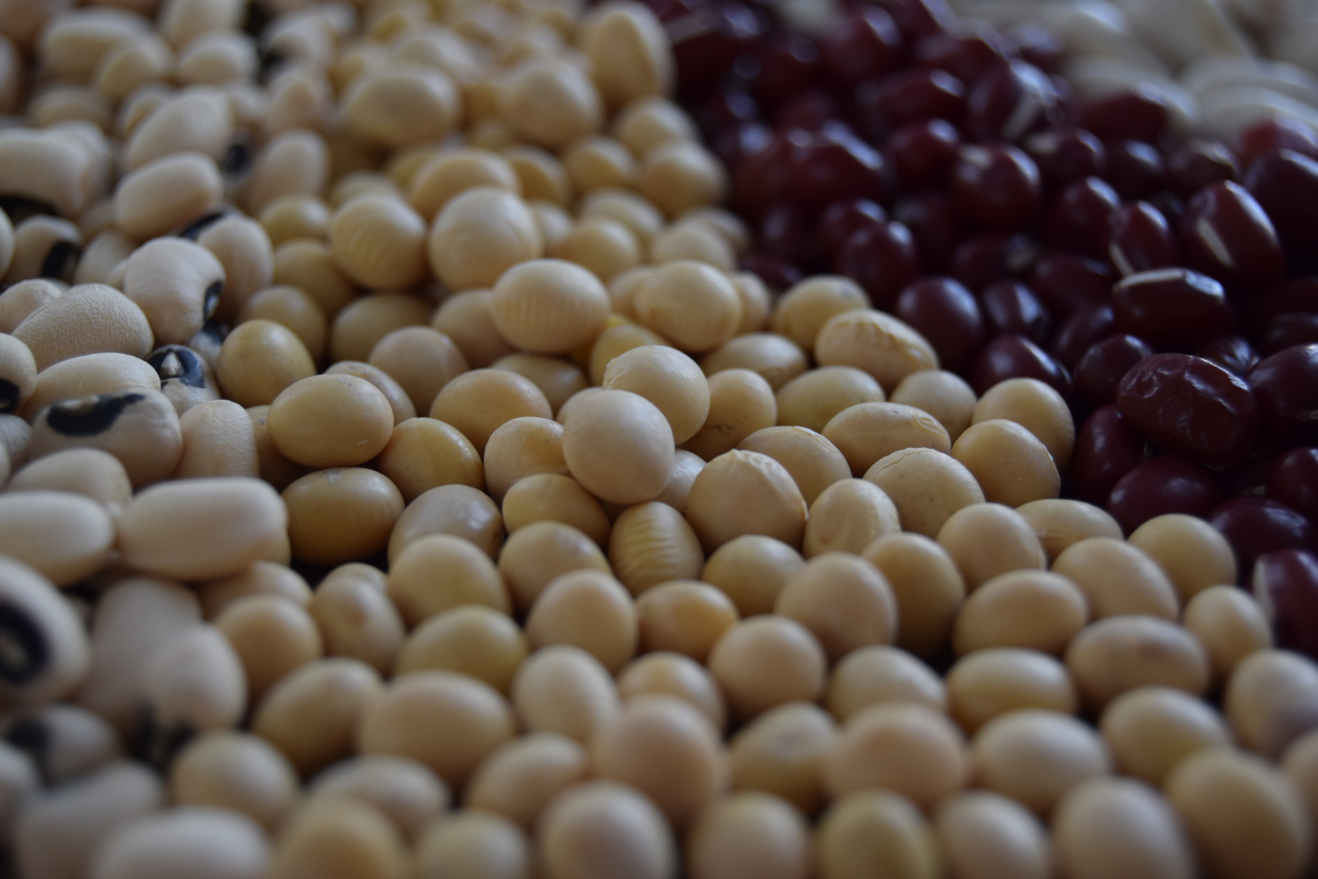 A Guide To The Beans You Need To Know (And Cook) Food