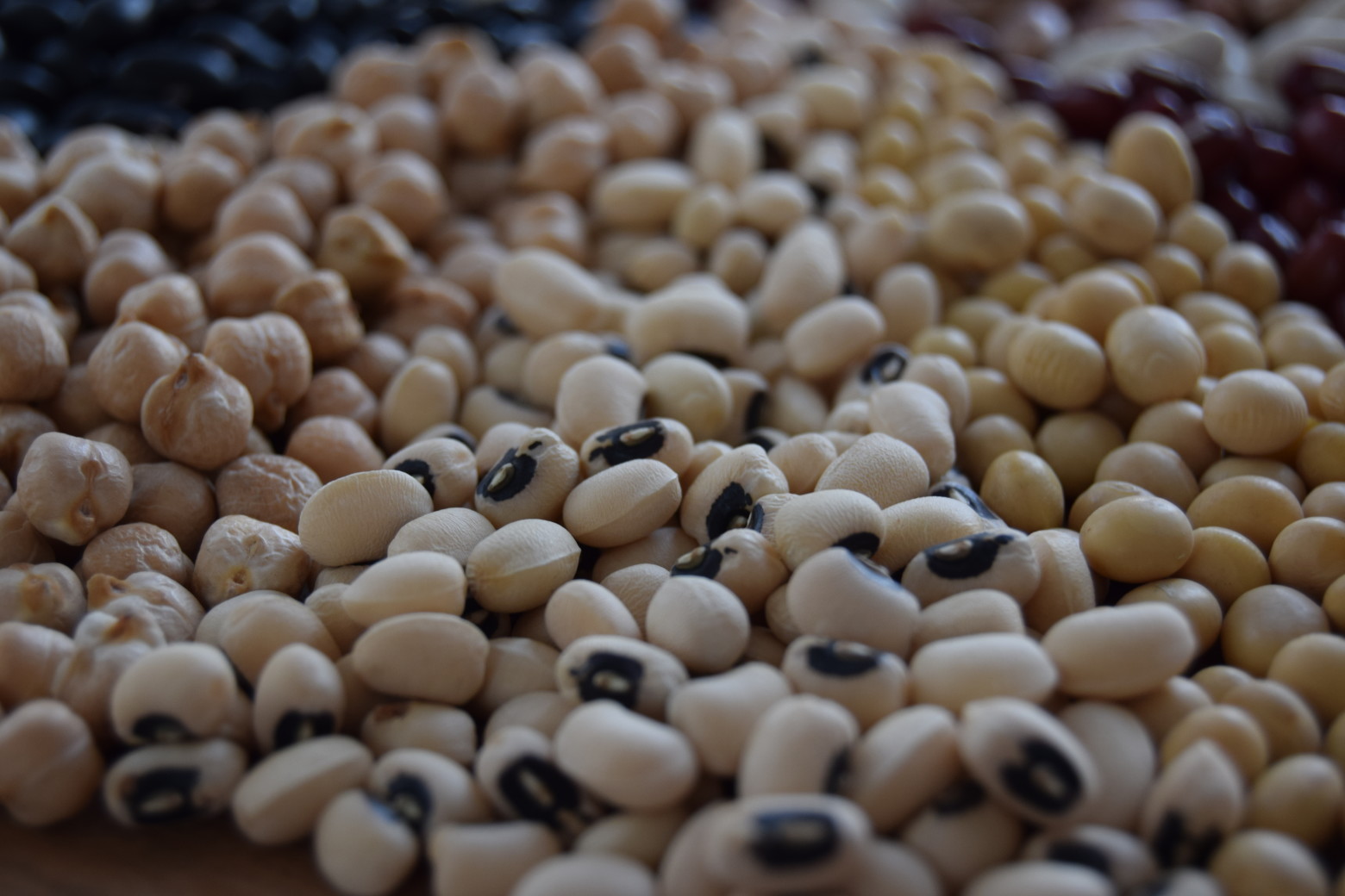 A Guide To The Beans You Need To Know (And Cook) Food Republic