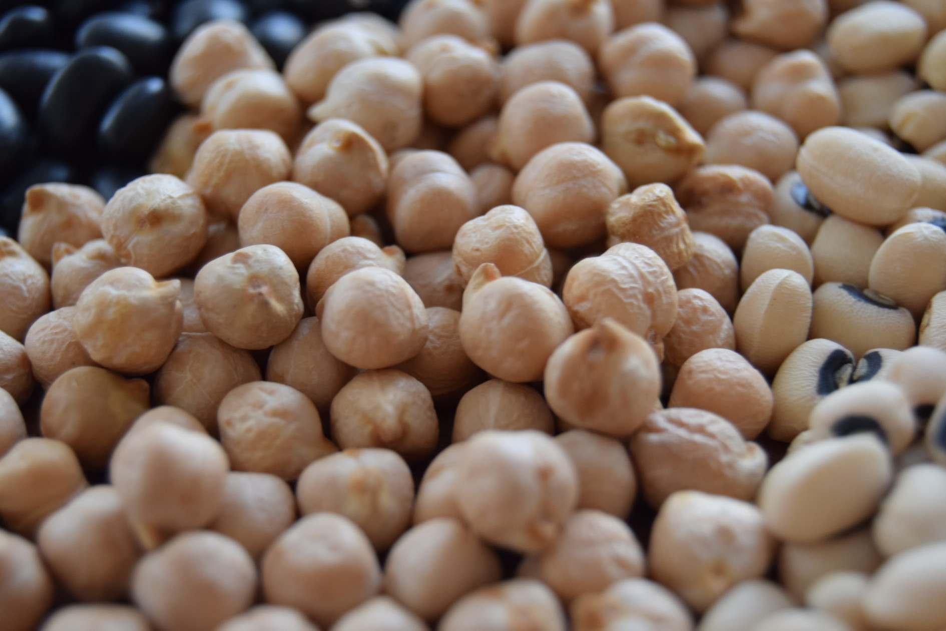 A Guide To The Beans You Need To Know (And Cook) Food Republic