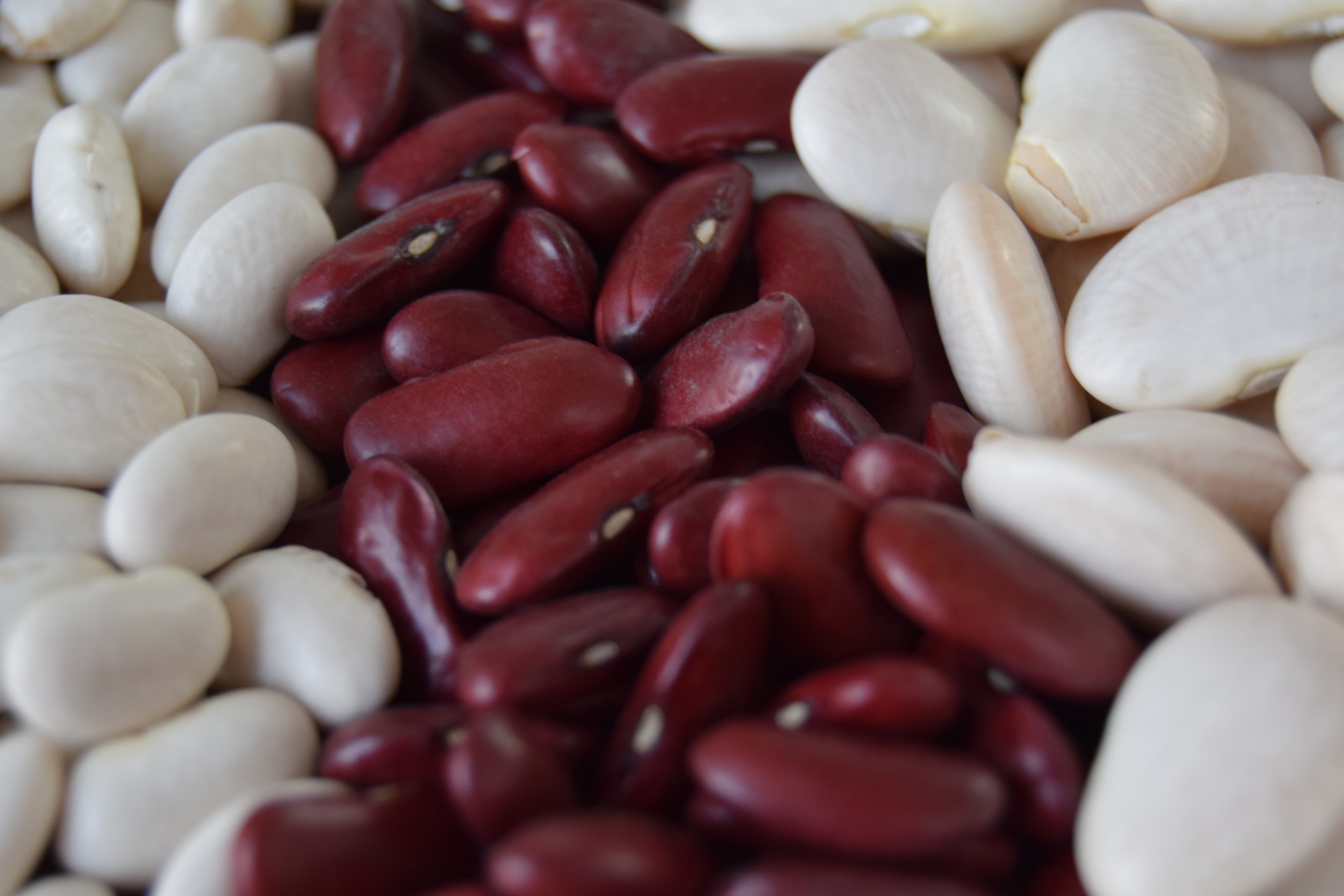 A Guide To The Beans You Need To Know (And Cook) Food
