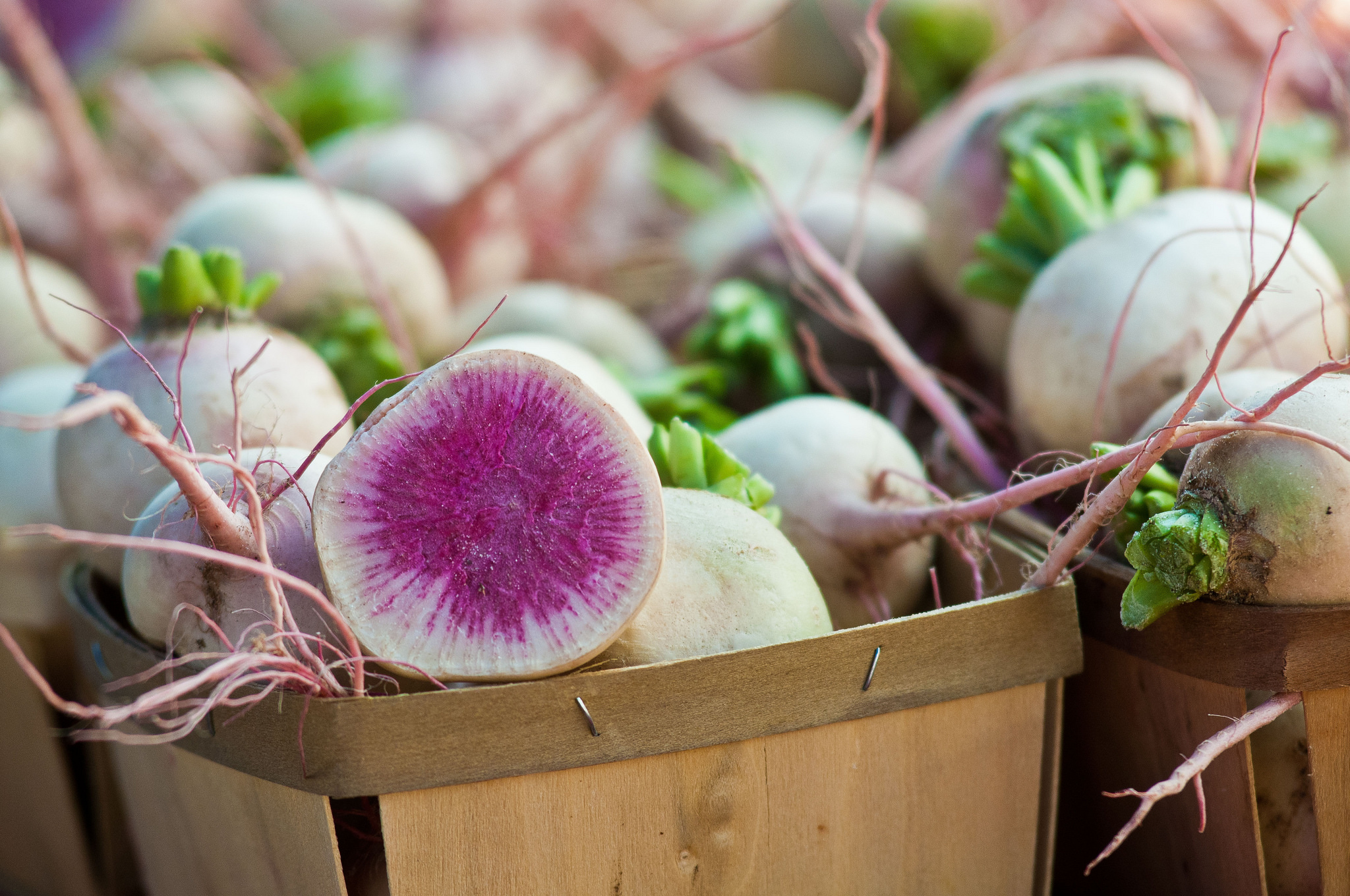 Now In Season: Beauty Heart Radishes (Plus A Recipe) - Food Republic 