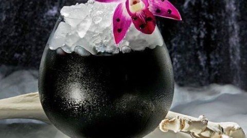 activated charcoal cocktail