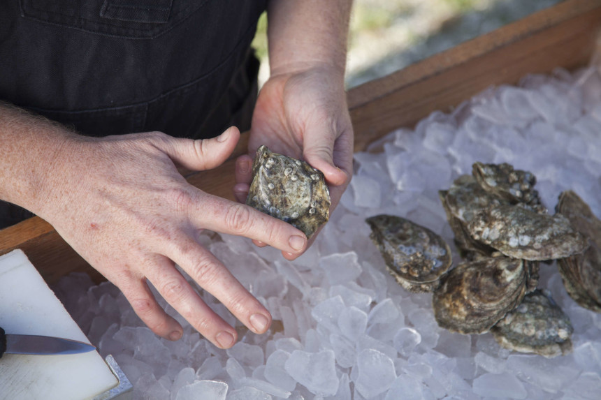 How To Pick The Best Oysters Food Republic