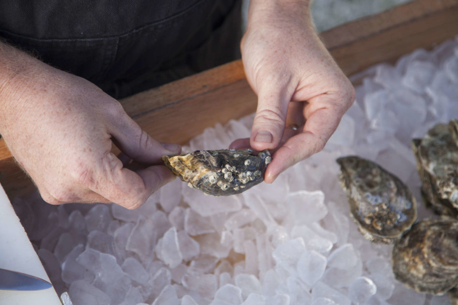 How To Pick The Best Oysters Food Republic