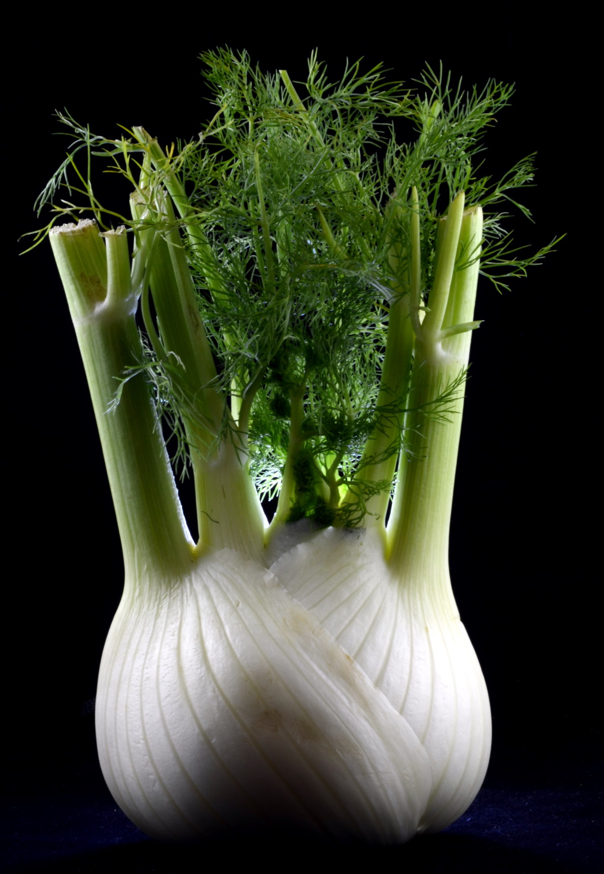 What's In Season Crisp, Flavorful Florence Fennel