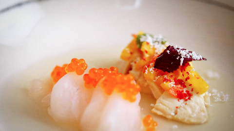 Edward Lee persimmon vinegar fluke crudo photo